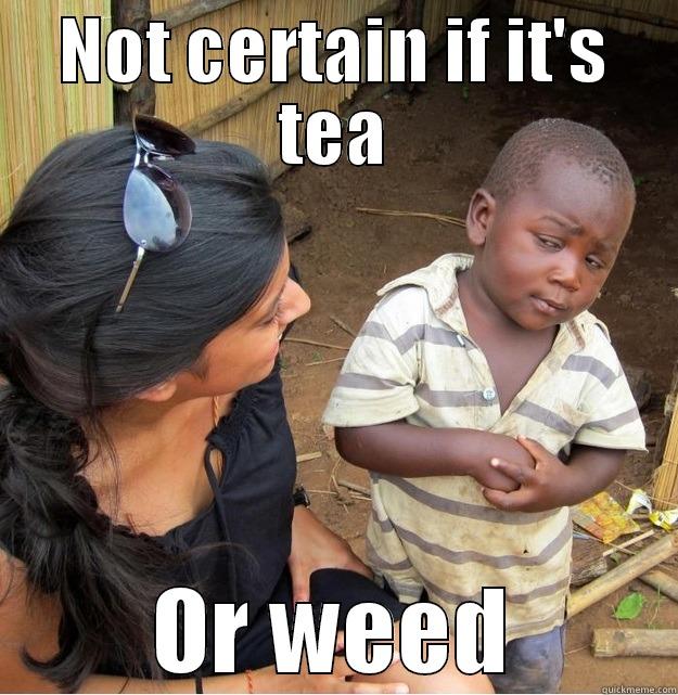 NOT CERTAIN IF IT'S TEA OR WEED Skeptical Third World Kid