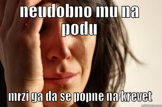 NEUDOBNO MU NA PODU MRZI GA DA SE POPNE NA KREVET First World Problems