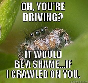 OH, YOU'RE DRIVING? IT WOULD BE A SHAME...IF I CRAWLED ON YOU. Misunderstood Spider