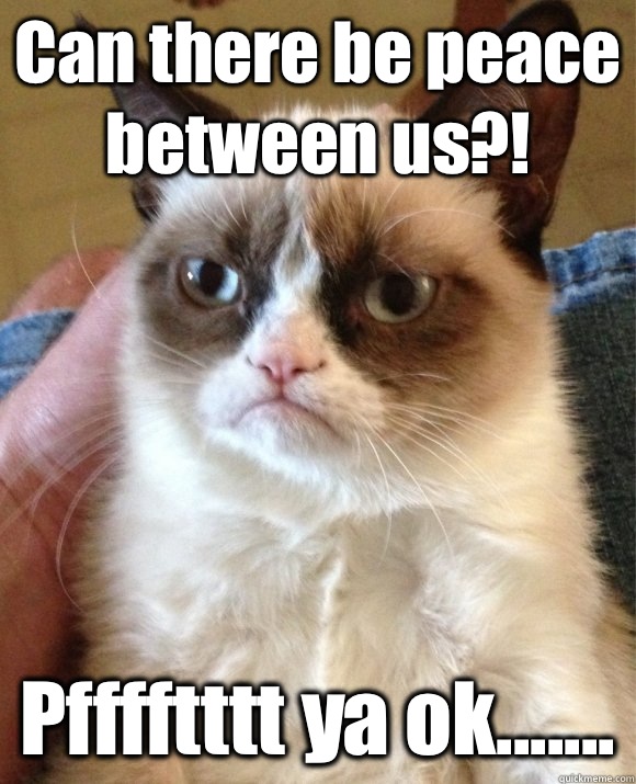 Can there be peace between us?! Pfffftttt ya ok.......  Tard the Cat