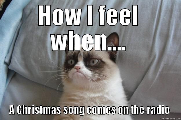 HOW I FEEL WHEN.... A CHRISTMAS SONG COMES ON THE RADIO Grumpy Cat