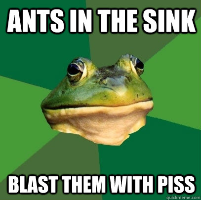 ants in the sink blast them with piss  Foul Bachelor Frog