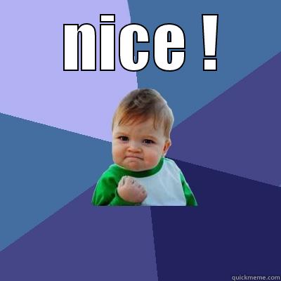  NICE !  Success Kid
