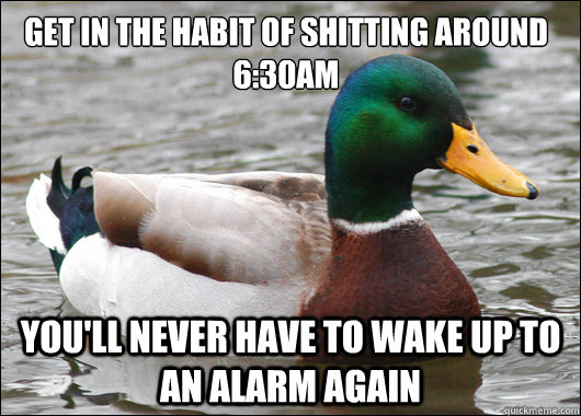 Get in the habit of shitting around 6:30am you'll never have to wake up to an alarm again  Actual Advice Mallard