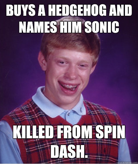 Buys a hedgehog and names him sonic killed from spin dash.   Bad Luck Brian