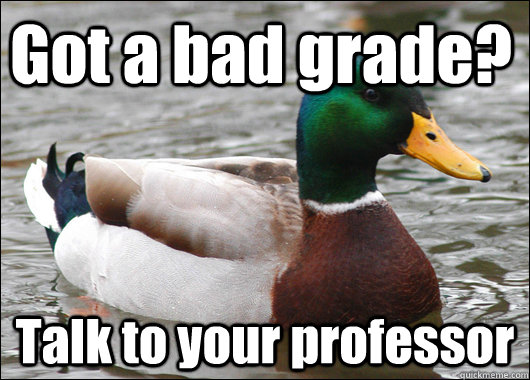 Got a bad grade? Talk to your professor  Actual Advice Mallard
