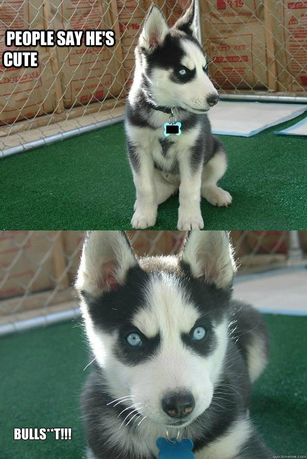  people say he's cute BULLS**T!!!  Insanity puppy