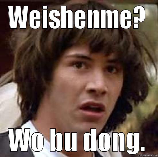 WEISHENME? WO BU DONG. conspiracy keanu