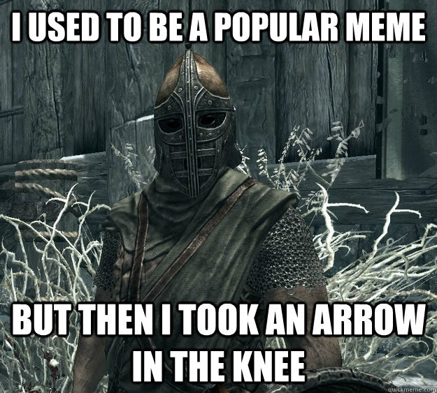 I used to be a popular meme But then I took an arrow in the knee  Skyrim Guard