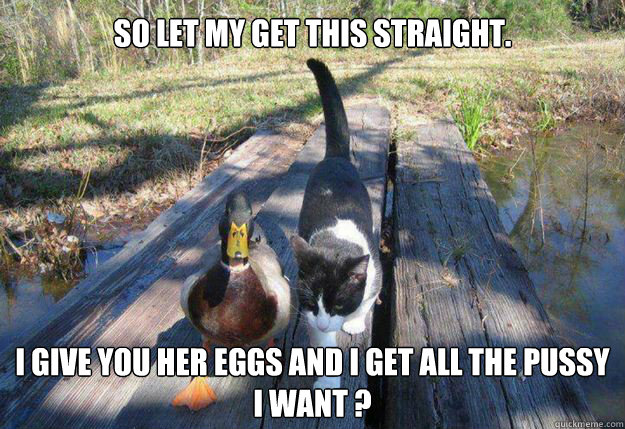 So let my get this straight. I give you her eggs and I get all the pussy I want ? - So let my get this straight. I give you her eggs and I get all the pussy I want ?  Boat advice