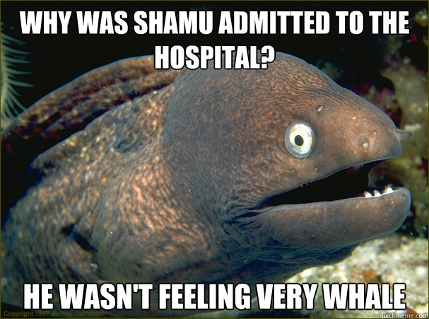 Why was Shamu admitted to the hospital? He wasn't feeling very whale  Bad Joke Eel