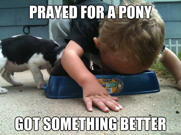 prayed for a pony got something better - prayed for a pony got something better  Misc