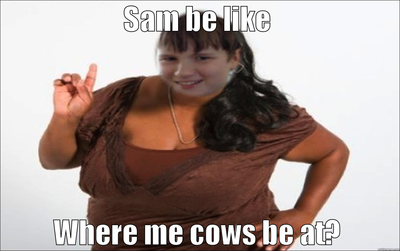 SAM BE LIKE WHERE ME COWS BE AT? Misc