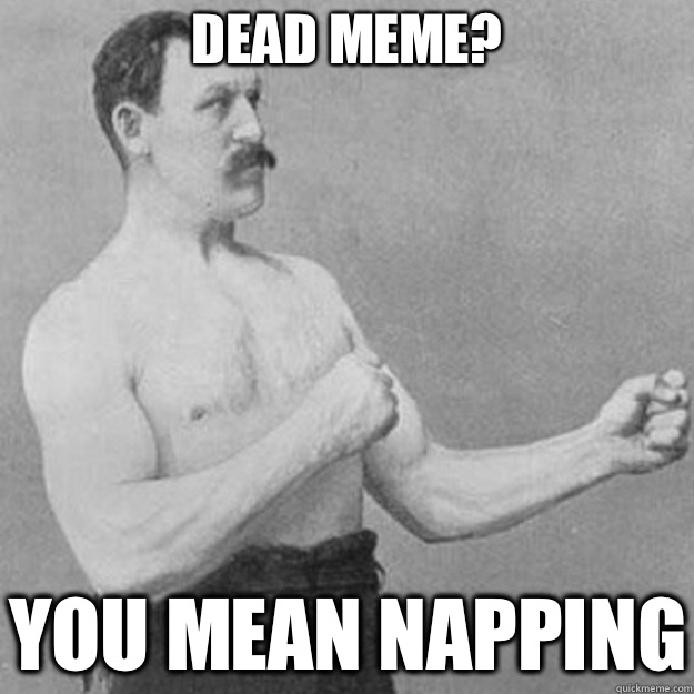 Dead meme? YOU MEAN NAPPING  overly manly man