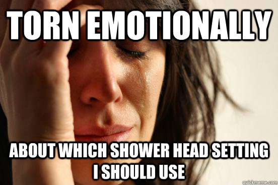 torn emotionally  about which shower head setting I should use  First World Problems