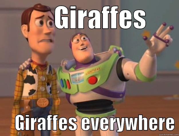      GIRAFFES      GIRAFFES EVERYWHERE Toy Story