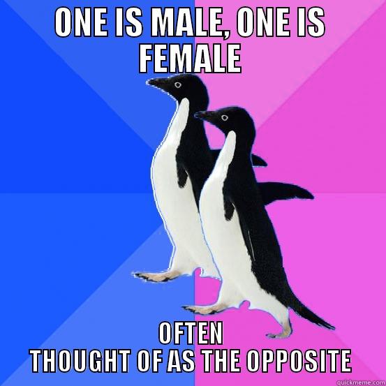 ONE IS MALE, ONE IS FEMALE OFTEN THOUGHT OF AS THE OPPOSITE - ONE IS MALE, ONE IS FEMALE OFTEN THOUGHT OF AS THE OPPOSITE Socially Awkward Couple