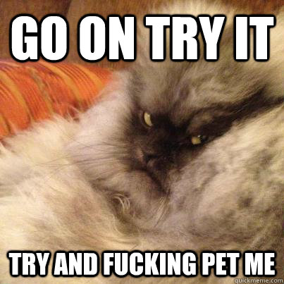 go on Try it try and fucking pet me  