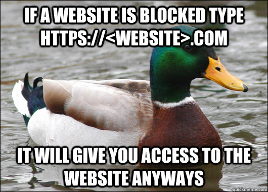 IF A WEBSITE IS BLOCKED TYPE HTTPS://<WEBSITE>.COM IT WILL GIVE YOU ACCESS TO THE WEBSITE ANYWAYS  Actual Advice Mallard