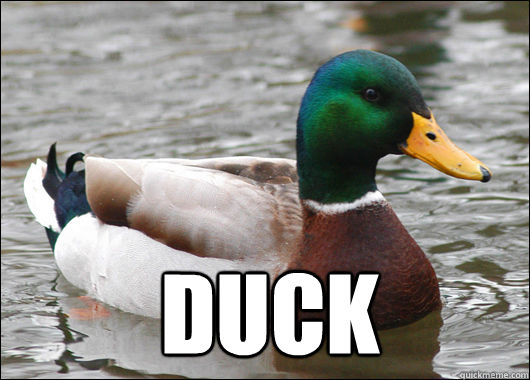  DUCK -  DUCK  Actual Advice Mallard