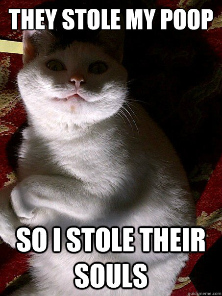 They stole my poop So I stole their souls  Revenge Cat