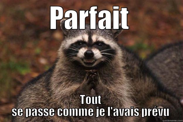 PARFAIT TOUT SE PASSE COMME JE L'AVAIS PRÉVU Evil Plotting Raccoon