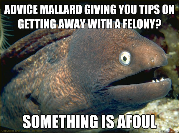 Advice mallard giving you tips on getting away with a felony? something is afoul - Advice mallard giving you tips on getting away with a felony? something is afoul  Bad Joke Eel