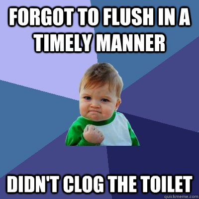 Forgot to flush in a timely manner Didn't clog the toilet  Success Kid