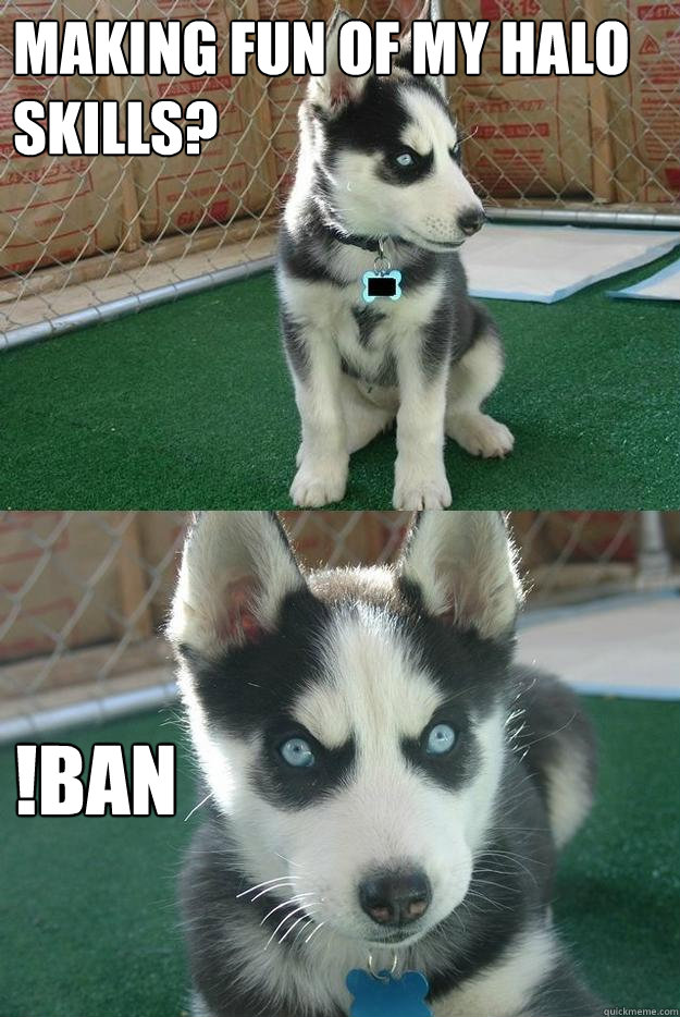 MAKING FUN OF MY HALO SKILLS? !BAN  Insanity puppy