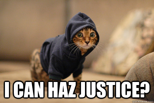  i can haz justice? -  i can haz justice?  Justice for hoodies