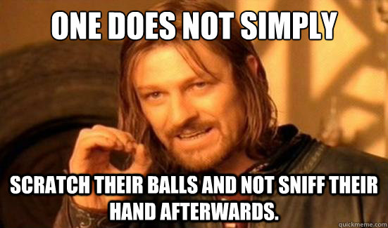One Does Not Simply scratch their balls and not sniff their hand afterwards.   Boromir