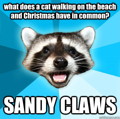what does a cat walking on the beach and Christmas have in common? SANDY CLAWS   Lame Pun Coon