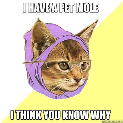 I have a pet mole i think you know why - I have a pet mole i think you know why  Hipster Kitty