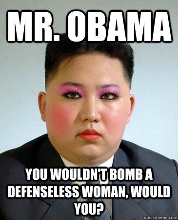 Mr. Obama You wouldn't bomb a defenseless woman, would you? - Mr. Obama You wouldn't bomb a defenseless woman, would you?  Kim Jong Sexy