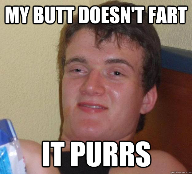 My butt doesn't fart it purrs - My butt doesn't fart it purrs  10 Guy