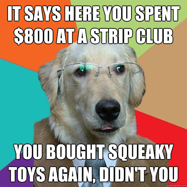 It says here you spent $800 at a strip club You bought squeaky toys again, didn't you - It says here you spent $800 at a strip club You bought squeaky toys again, didn't you  Business Dog