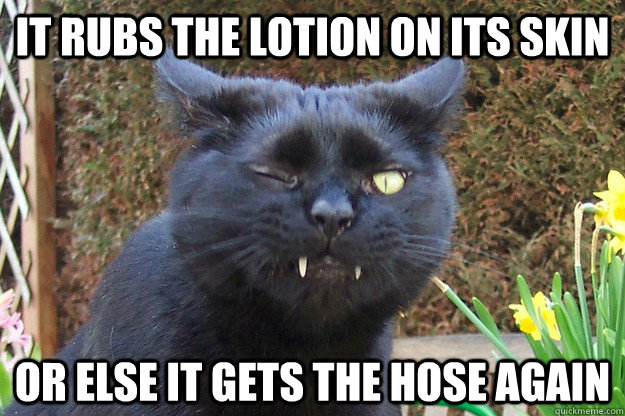 It rubs the lotion on its skin or else it gets the hose again  Evil Cat
