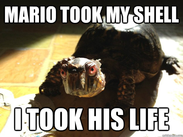 Mario took my shell i took his life  