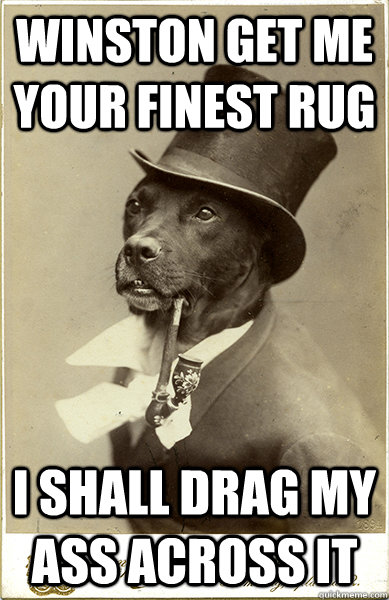 Winston get me your finest rug i shall drag my ass across it  Old Money Dog