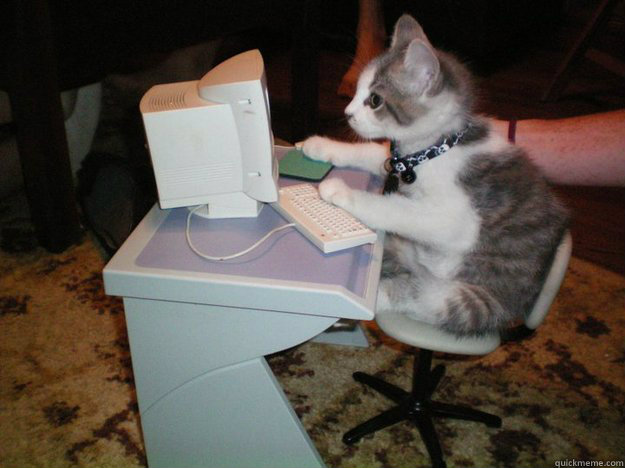   -    cat computer