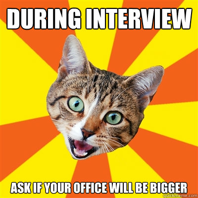 During interview ask if your office will be bigger  Bad Advice Cat