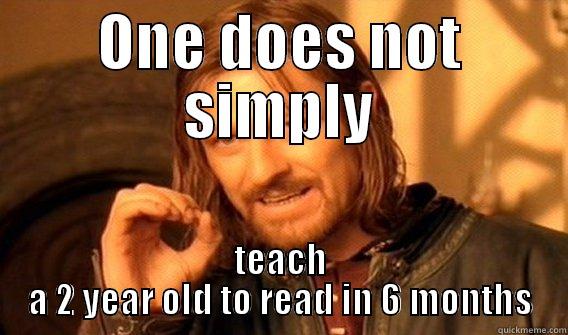 ONE DOES NOT SIMPLY TEACH A 2 YEAR OLD TO READ IN 6 MONTHS One Does Not Simply