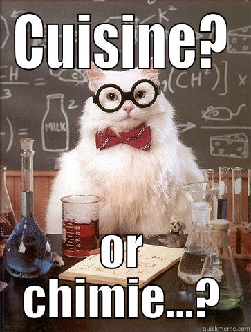 CUISINE? OR CHIMIE...? Chemistry Cat