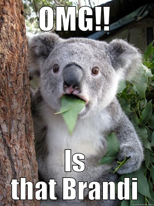 OMG!! IS THAT BRANDI koala bear