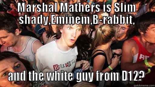 MARSHAL MATHERS IS SLIM SHADY,EMINEM,B-RABBIT, AND THE WHITE GUY FROM D12? Sudden Clarity Clarence