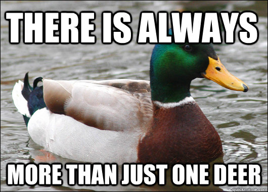 There is always more than just one deer  Actual Advice Mallard