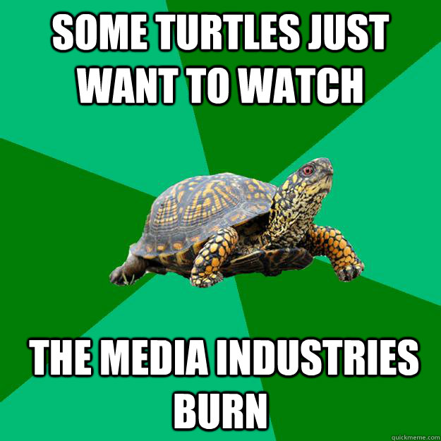 Some Turtles just want to watch  the media industries burn - Some Turtles just want to watch  the media industries burn  Torrenting Turtle
