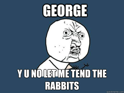 george y u no let me tend the rabbits  Y U No