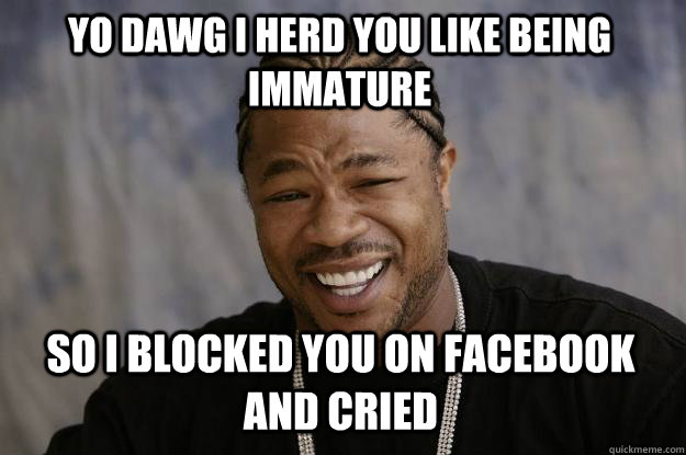 YO DAWG I HERD YOU LIKE BEING IMMATURE SO I BLOCKED YOU ON FACEBOOK AND CRIED  Xzibit meme