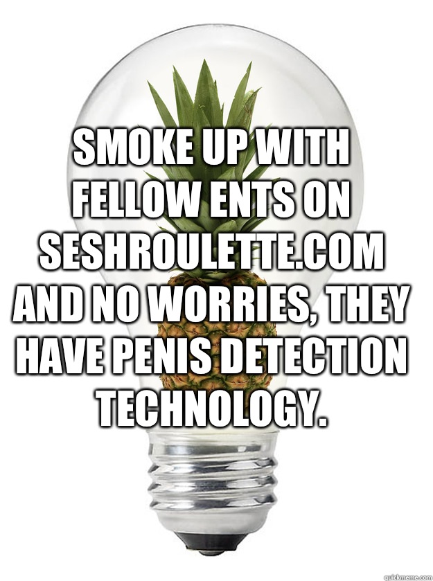 Smoke up with fellow ents on seshroulette.com and no worries, they have penis detection technology. - Smoke up with fellow ents on seshroulette.com and no worries, they have penis detection technology.  High Idea